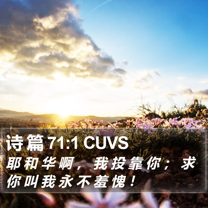 诗 篇 71:1 CUVS Bible Study