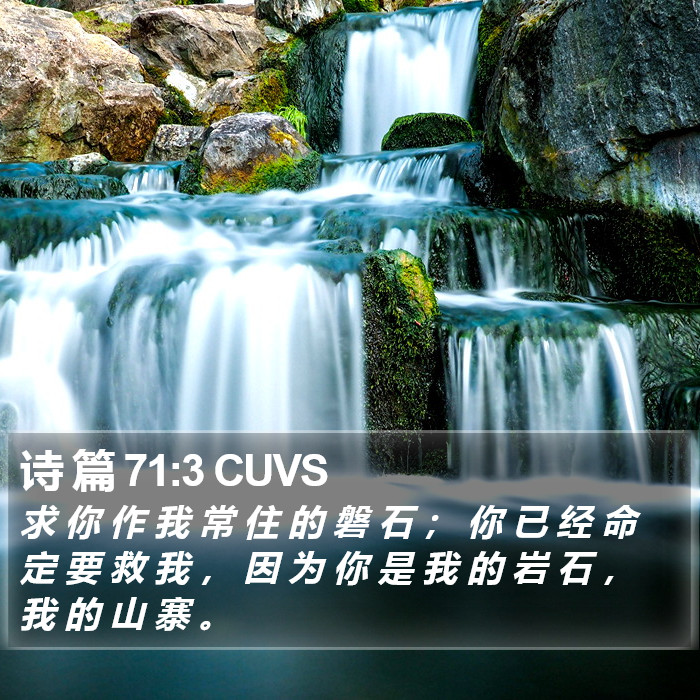 诗 篇 71:3 CUVS Bible Study