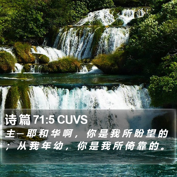 诗 篇 71:5 CUVS Bible Study