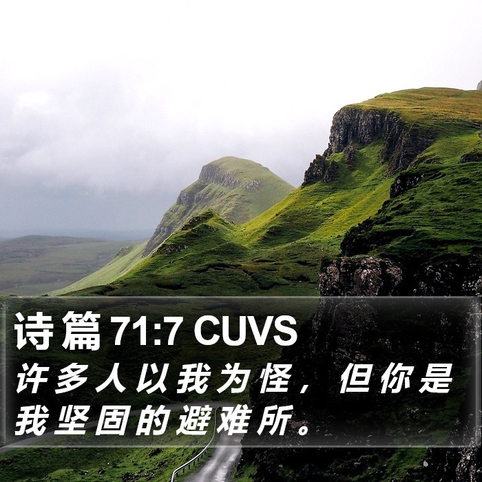 诗 篇 71:7 CUVS Bible Study