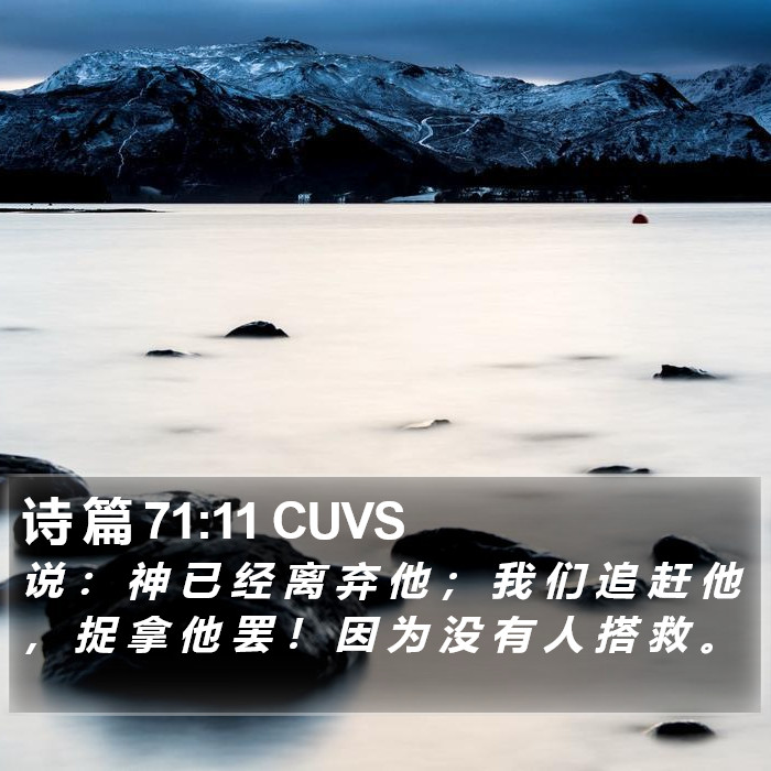 诗 篇 71:11 CUVS Bible Study