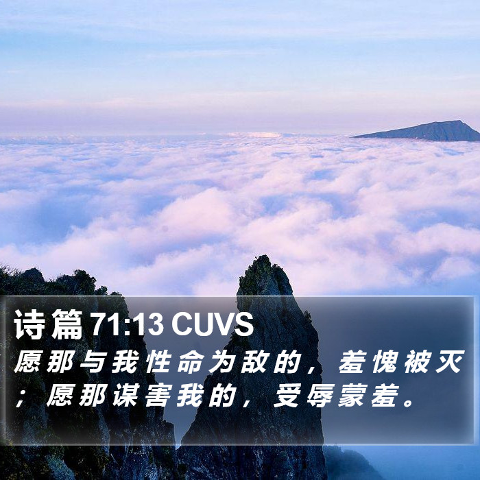 诗 篇 71:13 CUVS Bible Study