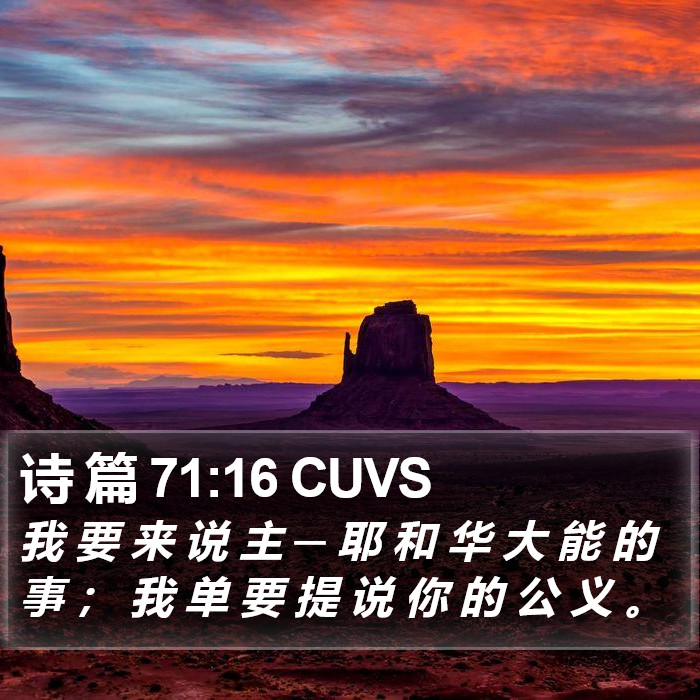 诗 篇 71:16 CUVS Bible Study