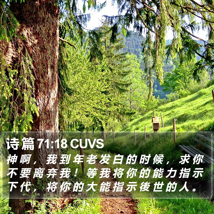 诗 篇 71:18 CUVS Bible Study