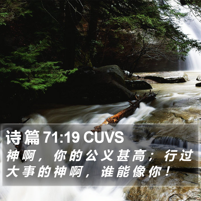 诗 篇 71:19 CUVS Bible Study