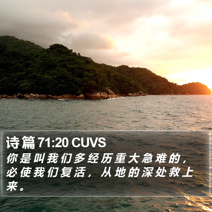 诗 篇 71:20 CUVS Bible Study