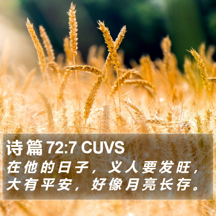 诗 篇 72:7 CUVS Bible Study