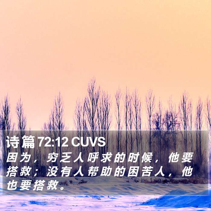 诗 篇 72:12 CUVS Bible Study