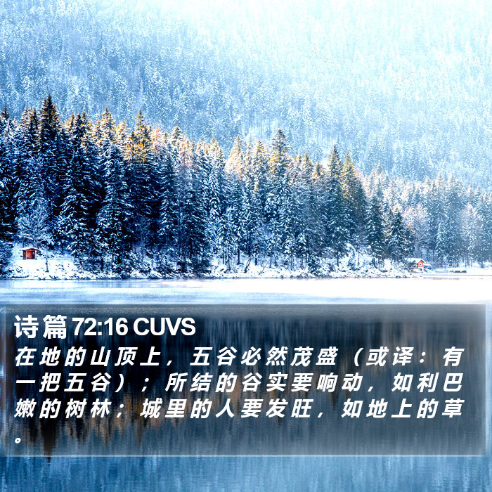 诗 篇 72:16 CUVS Bible Study