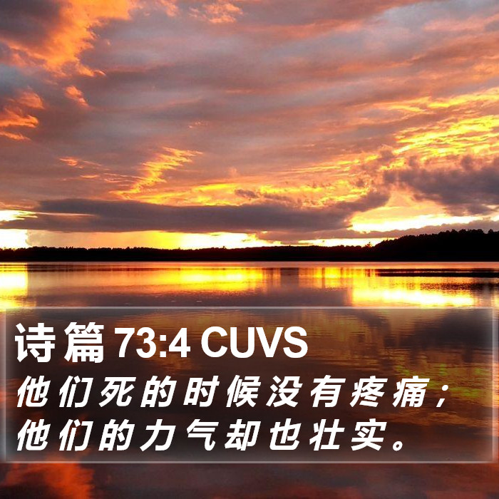 诗 篇 73:4 CUVS Bible Study