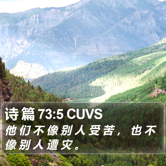 诗 篇 73:5 CUVS Bible Study