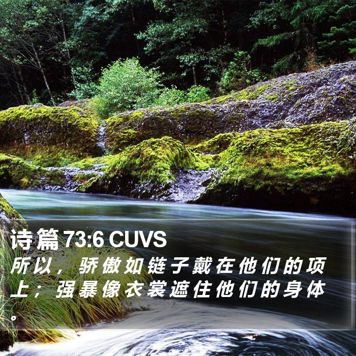诗 篇 73:6 CUVS Bible Study