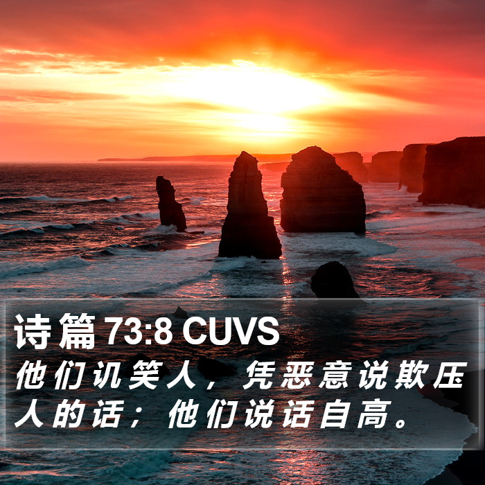 诗 篇 73:8 CUVS Bible Study