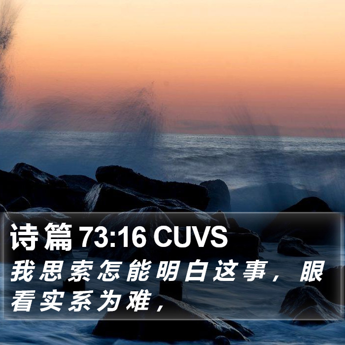 诗 篇 73:16 CUVS Bible Study