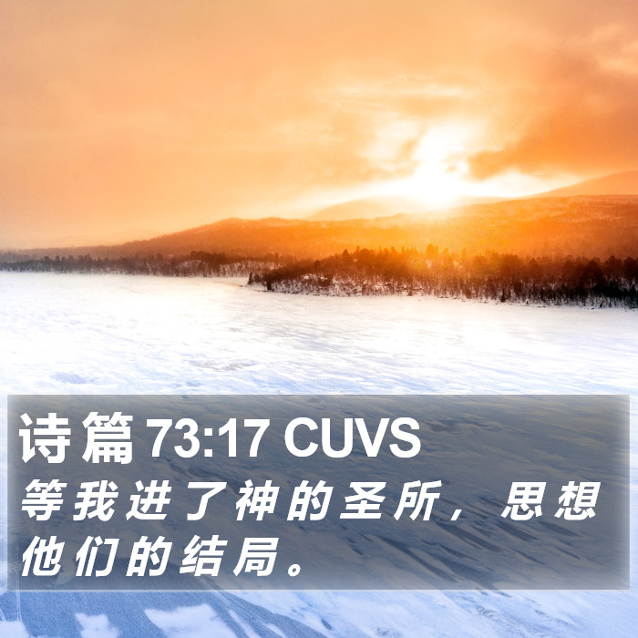 诗 篇 73:17 CUVS Bible Study