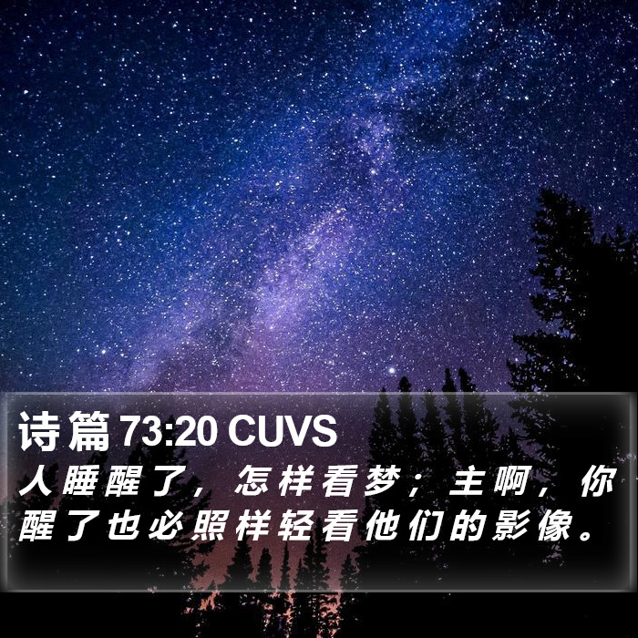 诗 篇 73:20 CUVS Bible Study