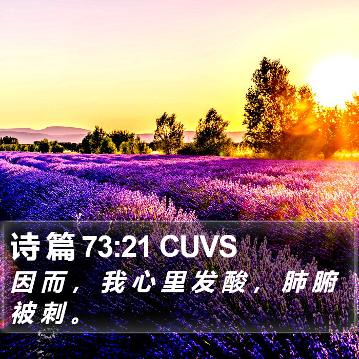 诗 篇 73:21 CUVS Bible Study