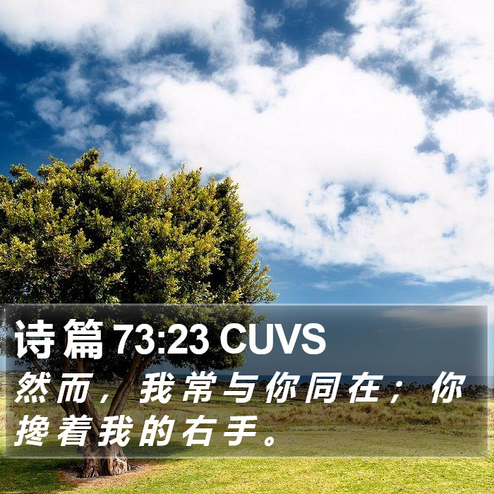 诗 篇 73:23 CUVS Bible Study