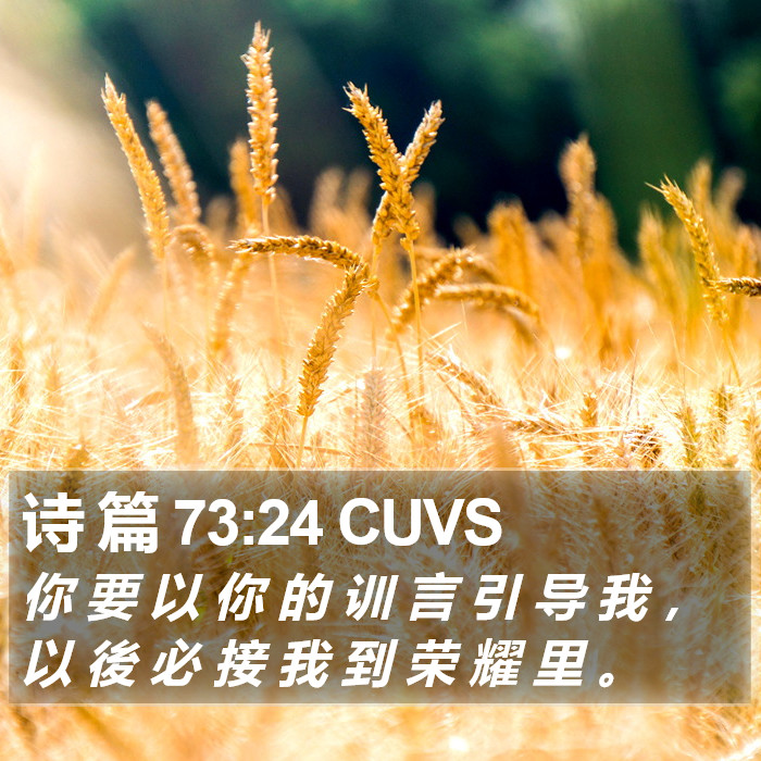 诗 篇 73:24 CUVS Bible Study