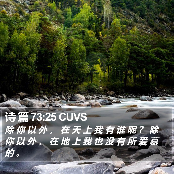诗 篇 73:25 CUVS Bible Study
