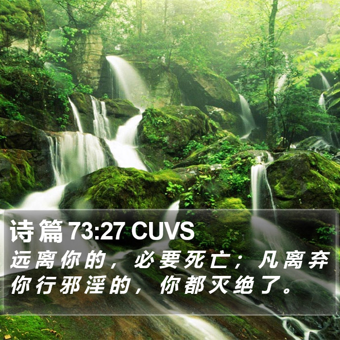诗 篇 73:27 CUVS Bible Study