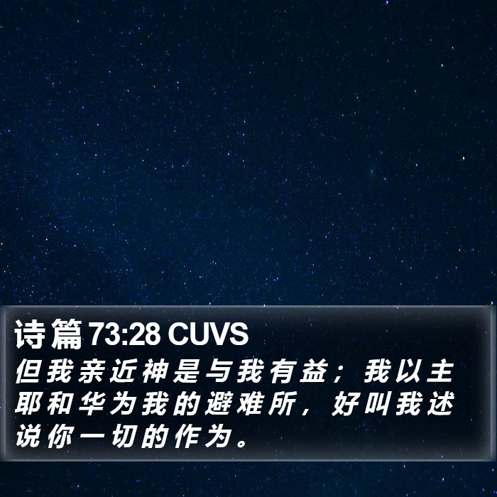 诗 篇 73:28 CUVS Bible Study