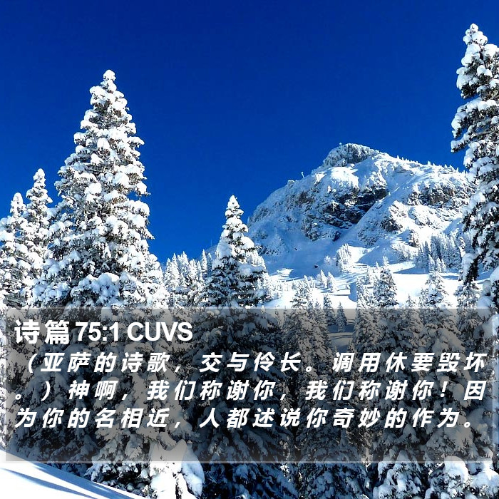 诗 篇 75:1 CUVS Bible Study