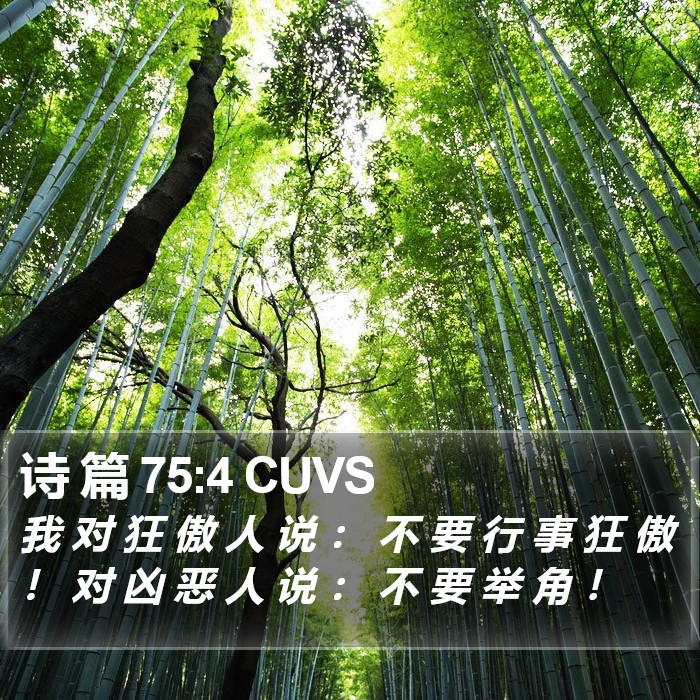 诗 篇 75:4 CUVS Bible Study