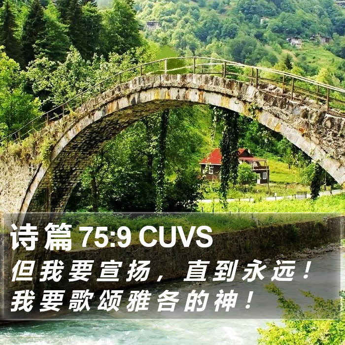 诗 篇 75:9 CUVS Bible Study