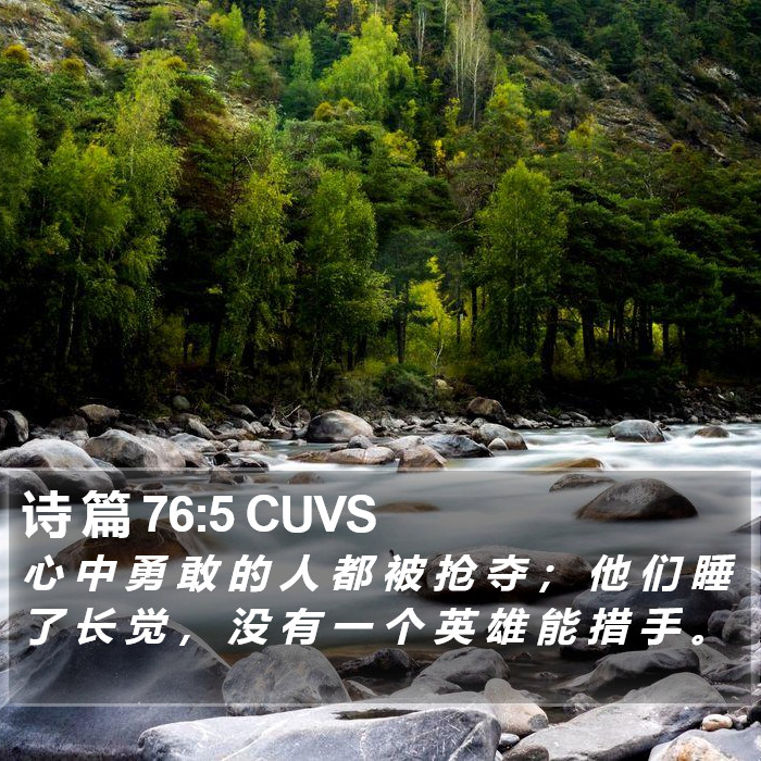 诗 篇 76:5 CUVS Bible Study