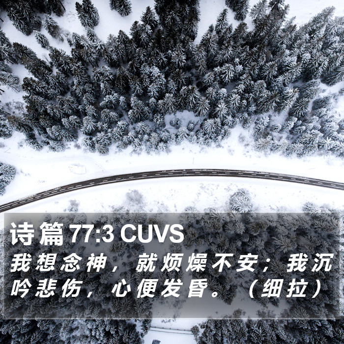 诗 篇 77:3 CUVS Bible Study