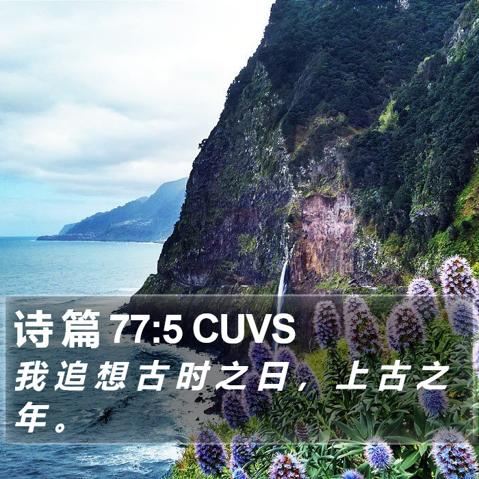 诗 篇 77:5 CUVS Bible Study