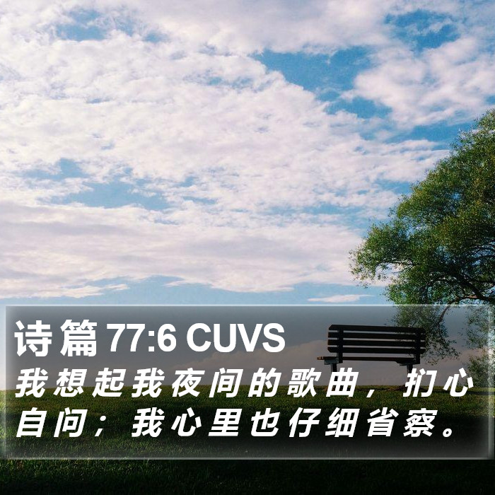 诗 篇 77:6 CUVS Bible Study