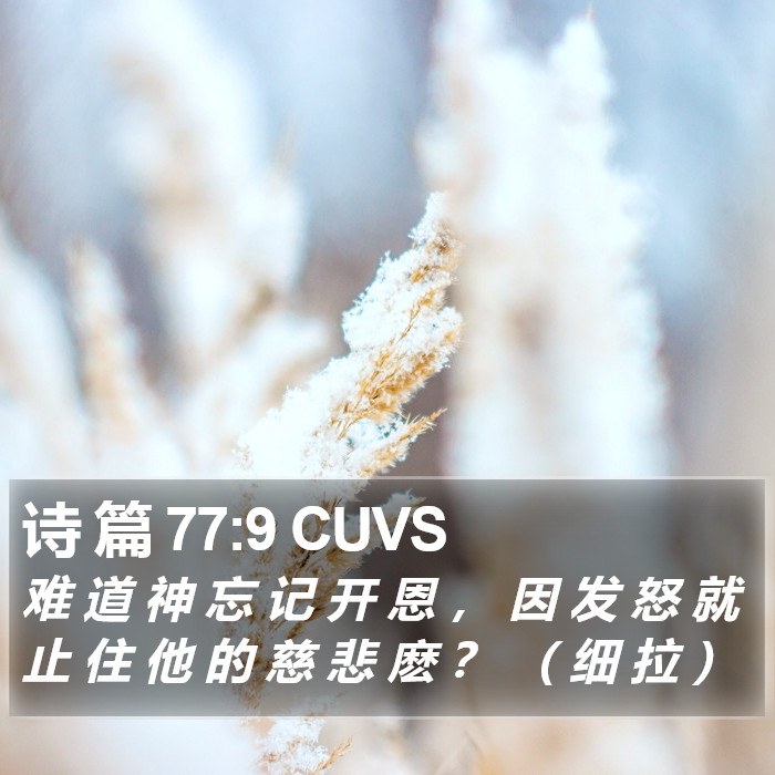 诗 篇 77:9 CUVS Bible Study