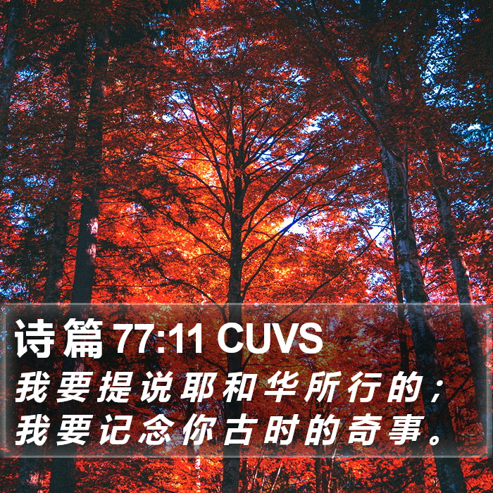 诗 篇 77:11 CUVS Bible Study