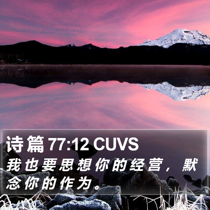 诗 篇 77:12 CUVS Bible Study