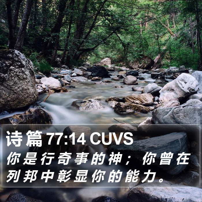 诗 篇 77:14 CUVS Bible Study