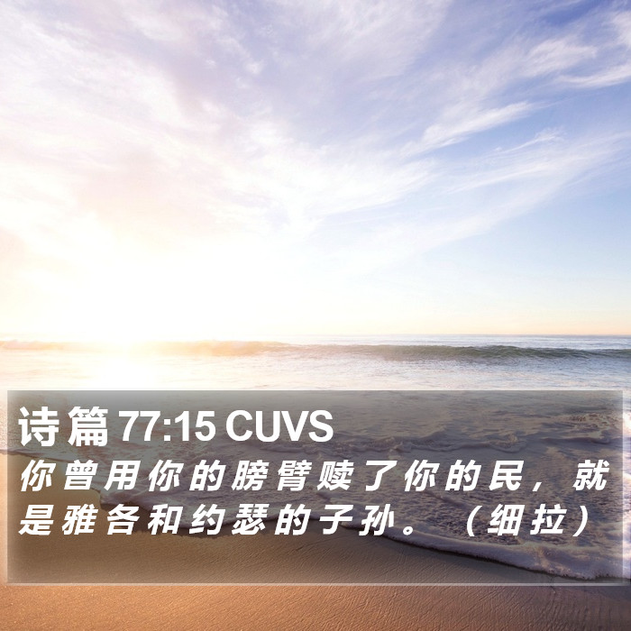 诗 篇 77:15 CUVS Bible Study