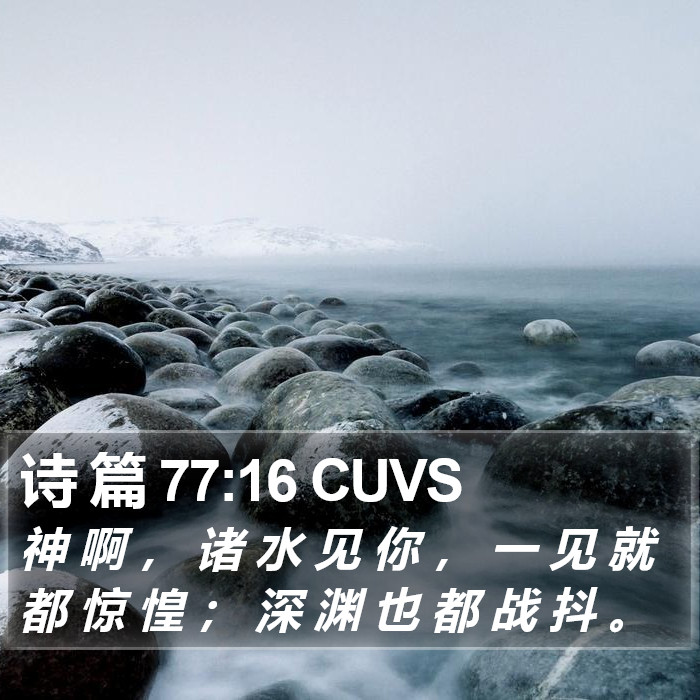 诗 篇 77:16 CUVS Bible Study