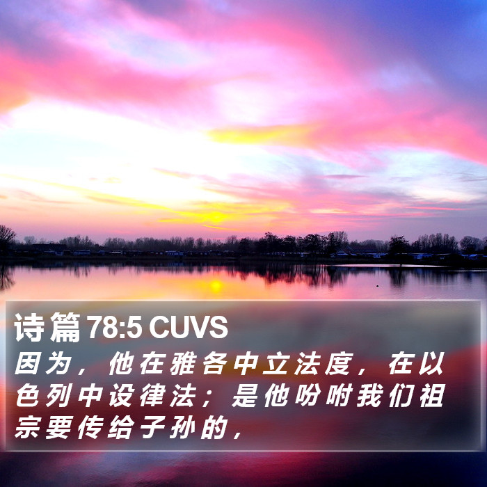 诗 篇 78:5 CUVS Bible Study