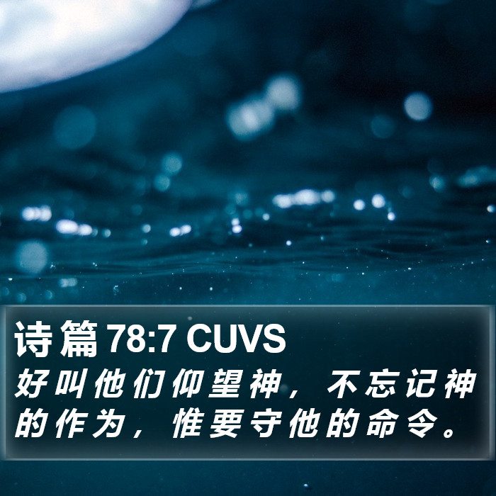 诗 篇 78:7 CUVS Bible Study