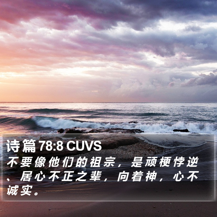 诗 篇 78:8 CUVS Bible Study
