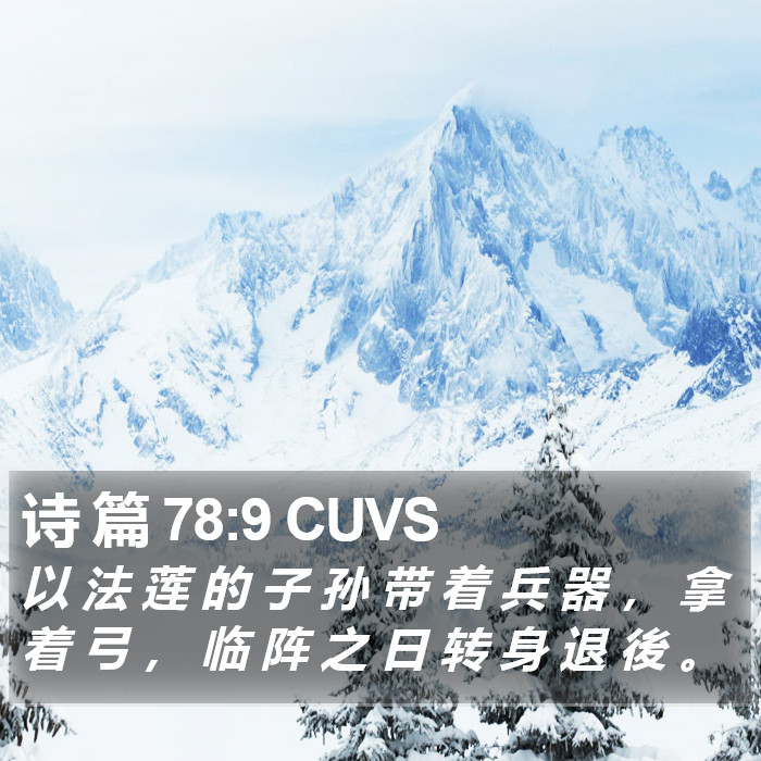 诗 篇 78:9 CUVS Bible Study