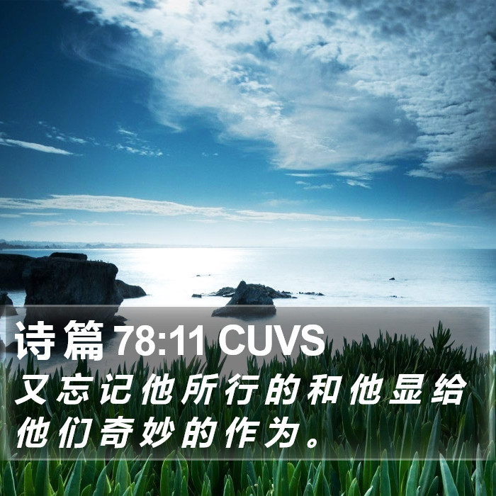 诗 篇 78:11 CUVS Bible Study