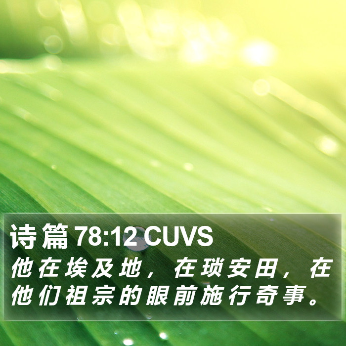 诗 篇 78:12 CUVS Bible Study