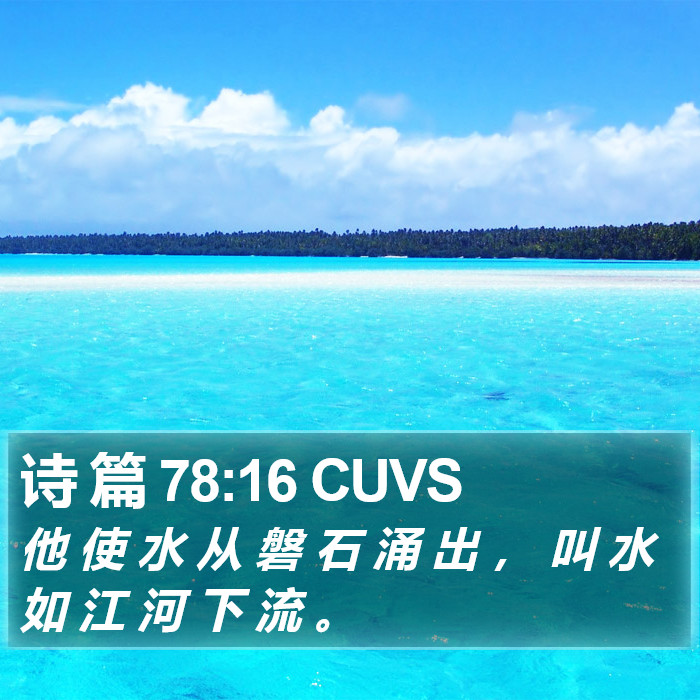 诗 篇 78:16 CUVS Bible Study