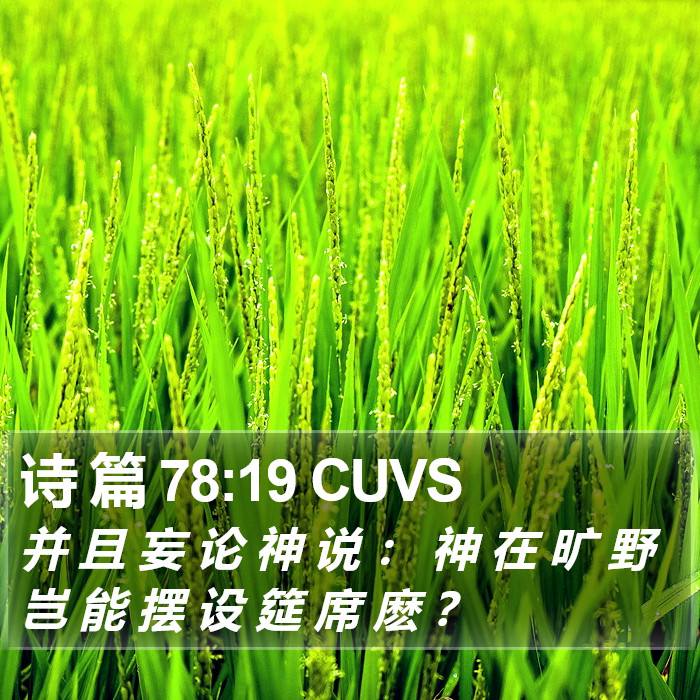 诗 篇 78:19 CUVS Bible Study