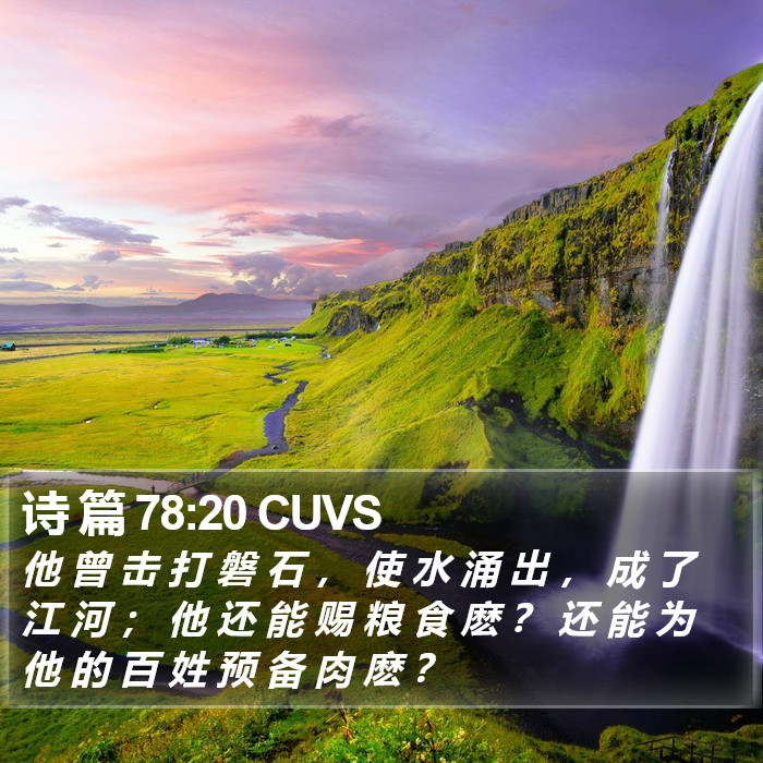 诗 篇 78:20 CUVS Bible Study