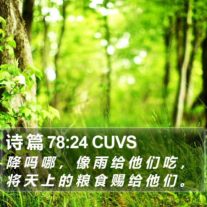 诗 篇 78:24 CUVS Bible Study