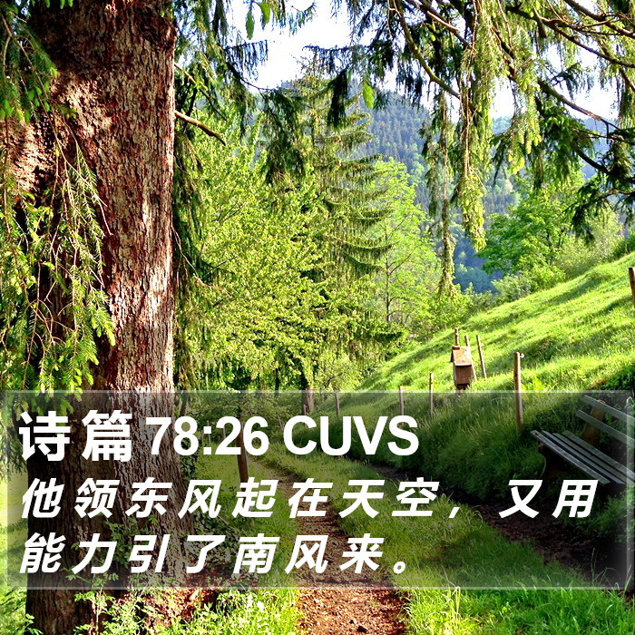 诗 篇 78:26 CUVS Bible Study